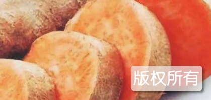 西充苕枣
