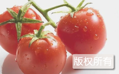 圣女小番茄