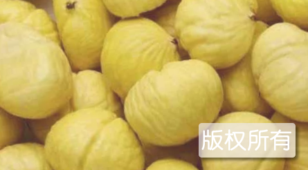 天梯板粟