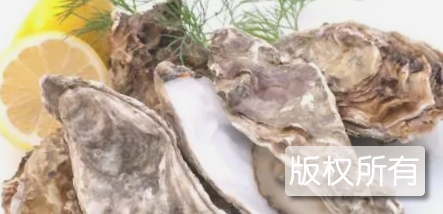 石门蚝