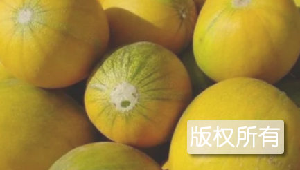 磴口华莱士瓜