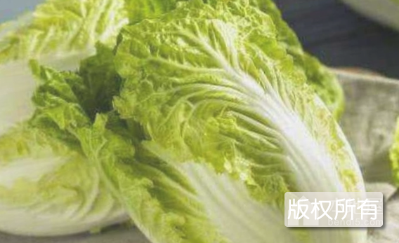 白蒲黄芽菜