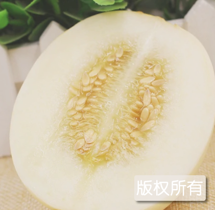 胡集白梨瓜