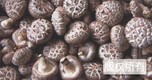 油山香菇