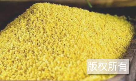 翼州黄小米