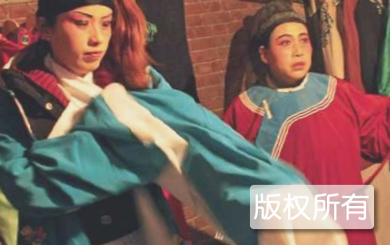 二股弦