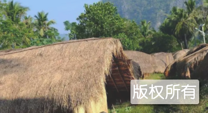 黎族船型屋营造技艺