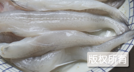 石堤豆腐鱼