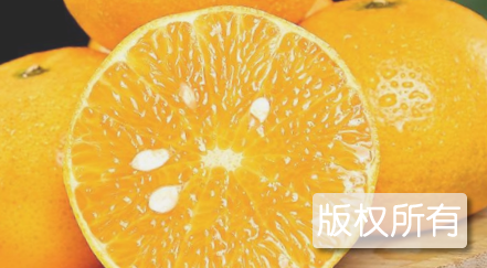兴业贡柑