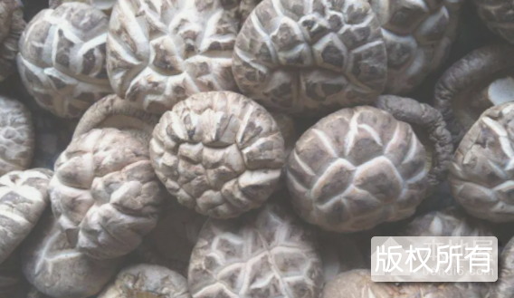 随州香菇