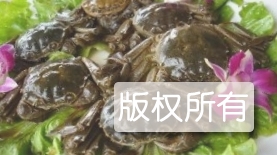 宁河醉蟹