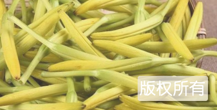 渠县黄花菜