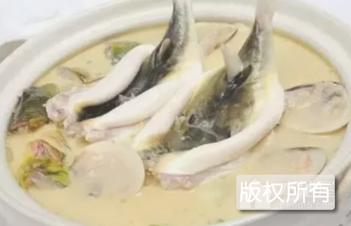 海安河豚
