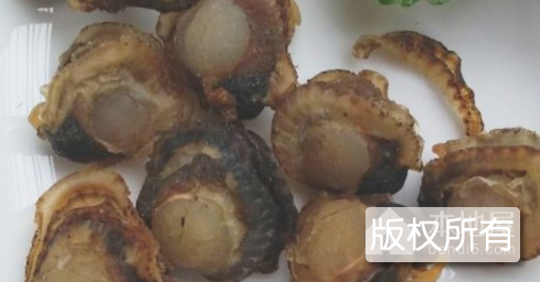 珍珠贝肉
