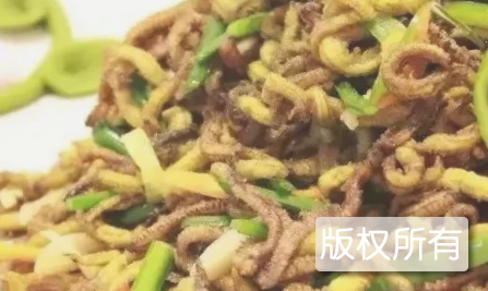 烧禾虫
