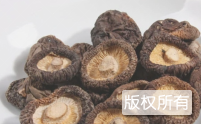 大瑶山香菇