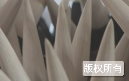 宣笔制作技艺