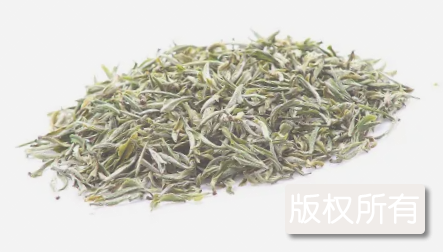 圣水绿茶