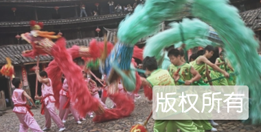 茶阳花环龙