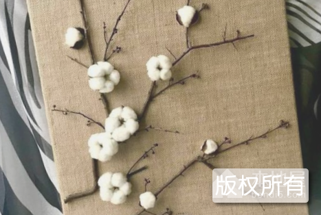 棉花画