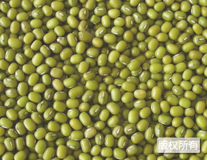 鹦哥绿豆