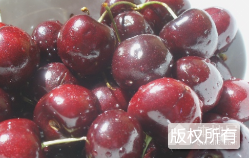 圆帮樱桃