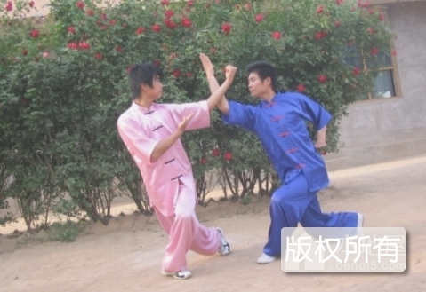 长洪拳