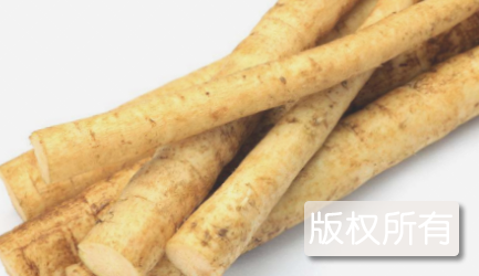 响水牛蒡