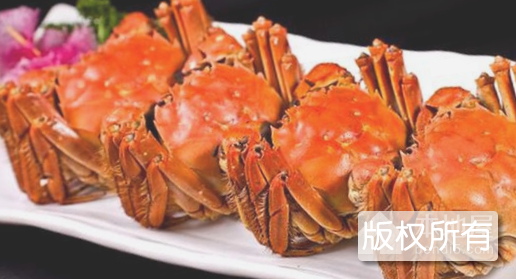 枞阳中华绒毛蟹