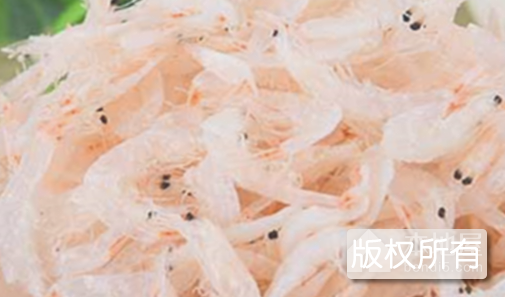 黄河口虾皮