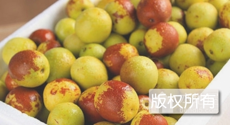 大港冬枣