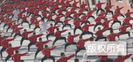 邯郸梅花拳