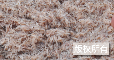 蠓子虾酱制作技艺