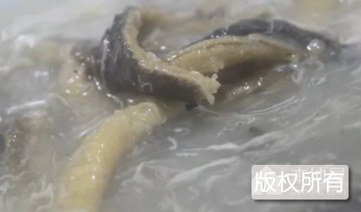 东乡长鱼汤
