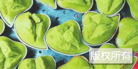 朴枳粿