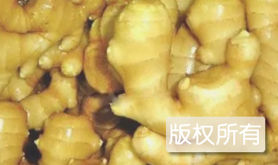 宁阳黄爪姜