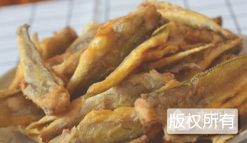 小岞黄花鱼