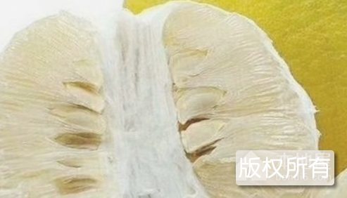 龙皇洞沙田柚