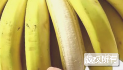 万顷沙大蕉