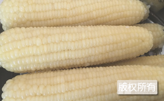 延寿粘玉米