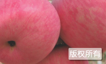 虞城红富士苹果