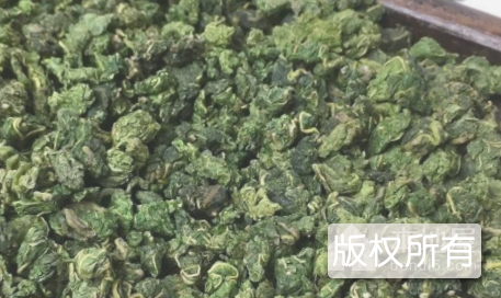 龙居桑叶茶