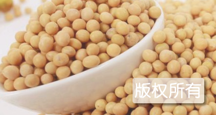 嫩江大豆