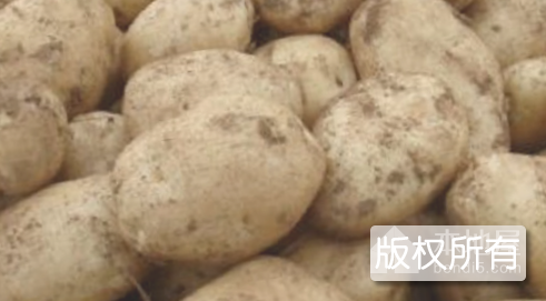 土家炕洋芋