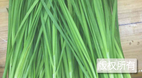 拴马棚韭菜