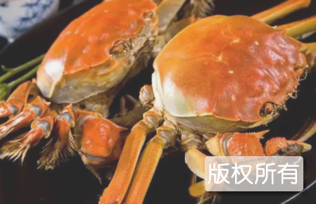 醉蟹
