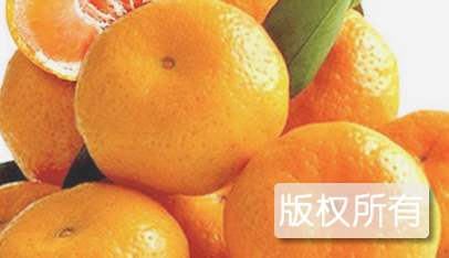 武陵源密桔