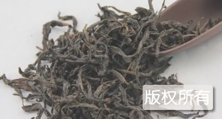 冬茶