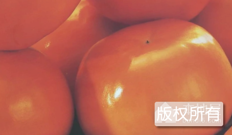 青阳柿子