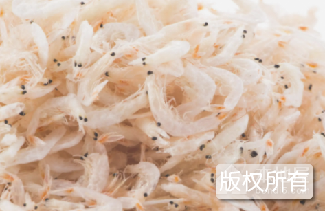 沾化虾皮